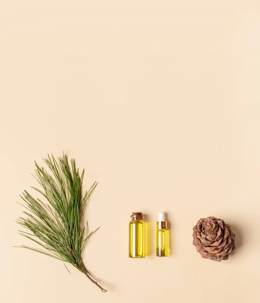 Coniferous spa aromatic essential cedar oil in small glass bottles, branch, cone on beige backdrop with copy space. — Stock Photo, Image