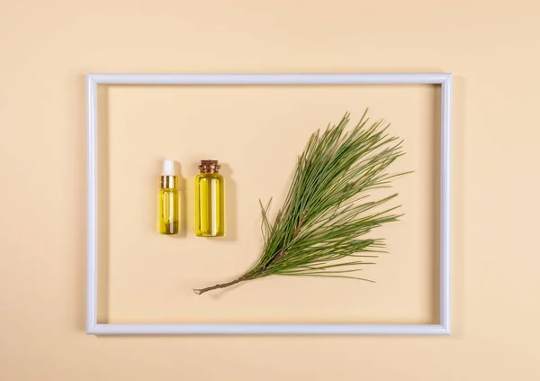 Small glass bottles with coniferous cedar aromatic essential oil inside white frame on beige background. — Stock Photo, Image