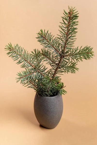 Green Fir Tree Branch Grey Stone Vase Christmas New Year — Photo