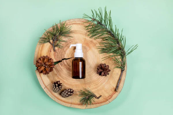 Top view small glass bottle with essential pine oil, branches, cones on wooden saw cut on mint green backdrop. — Stock Photo, Image