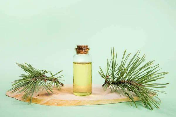 One small glass bottle with essential pine oil on wooden saw cut on mint green. — Stock Photo, Image