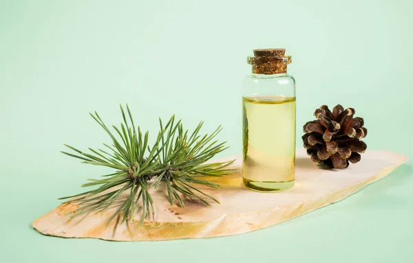 Essential pine oil in glass bottle on wooden saw cut on mint green background. — Stock Photo, Image