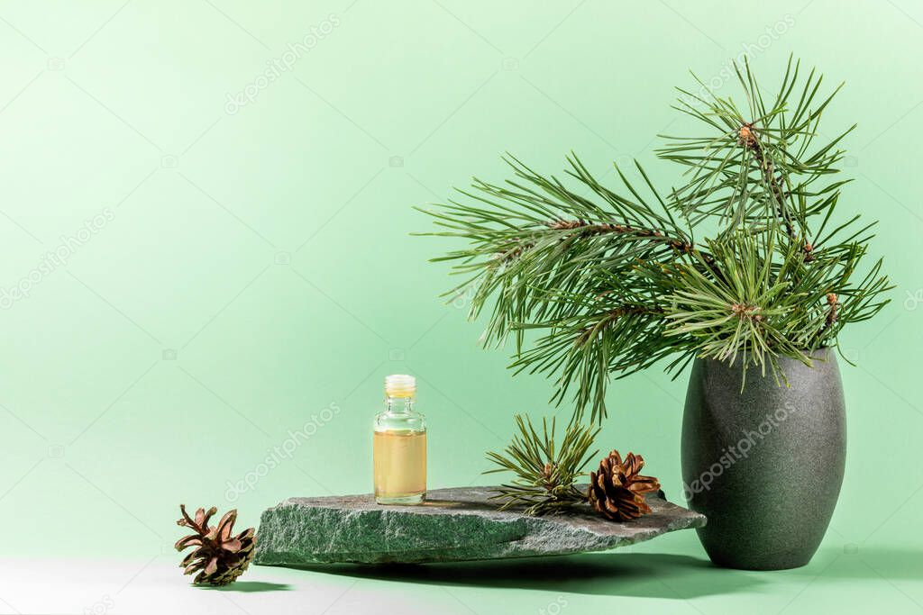 Composition with pine oil glass bottle, branches, cones on grey stone granite on mint green. Copy space.