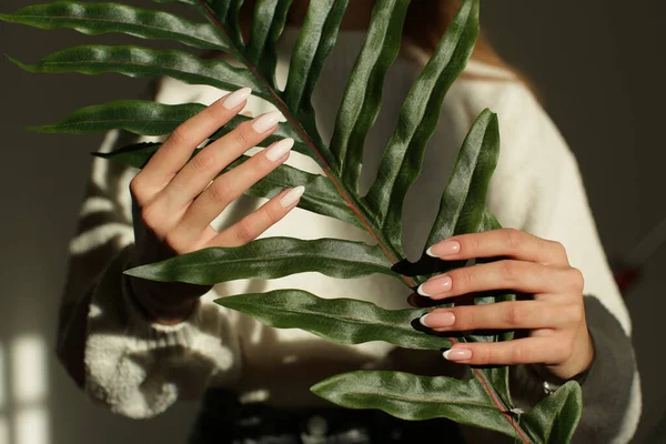 Hermosas manos de las mujeres con manicuras sostienen la planta —  Fotos de Stock