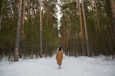 Kahverengi ceketli ve siyah şapkalı genç kız kış ormanlarında yürüyor.