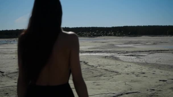 Une fille dans une robe noire avec un dos ouvert marche sur une brume de sable — Video