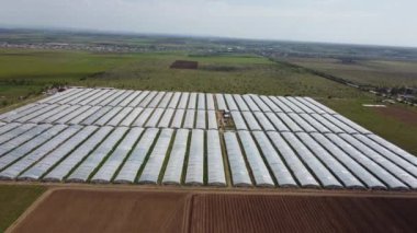 sebze ve çiçek yetiştirmek için bir sürü çiftlik serası.