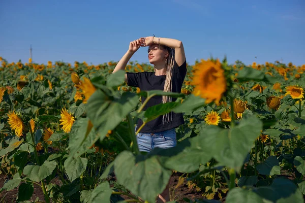 Uma menina turista fica no meio de um campo florido de girassóis — Fotografia de Stock