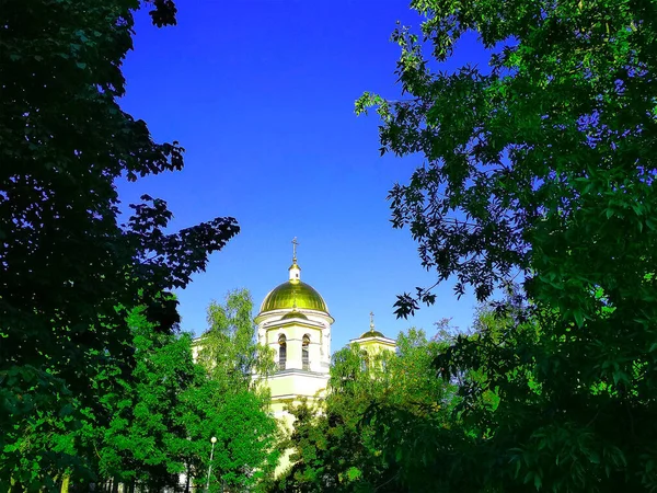 Dome of the Church standing between the trees against the blue sky. — Stock Photo, Image