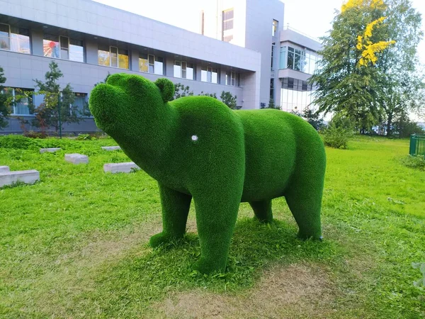 Oso verde hecho de césped artificial verde en el fondo de los árboles. —  Fotos de Stock