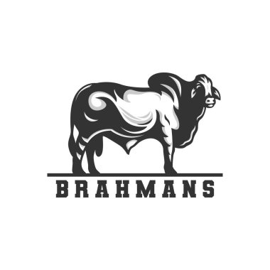 Brahman inek logosu, vektör logosu.