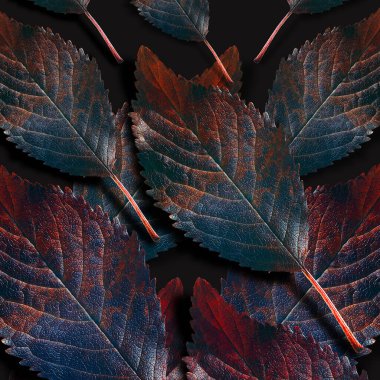 Ağaç yapraklarıyla soyut bir arkaplan. Doğal sonbahar arkaplanı. Ağaç yaprakları.