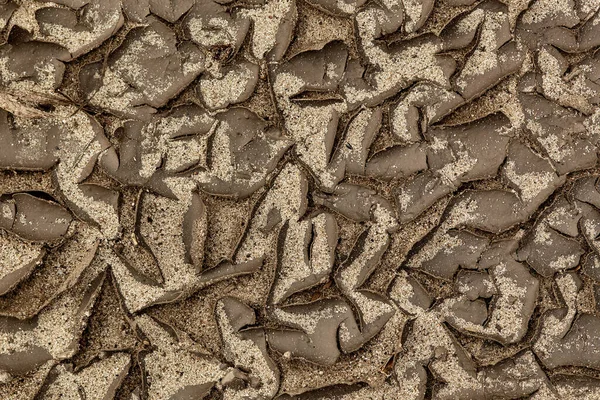 Cracked Earth Soil Gap Texture Cracks Sand Dry Cracked Texture — Stock Photo, Image