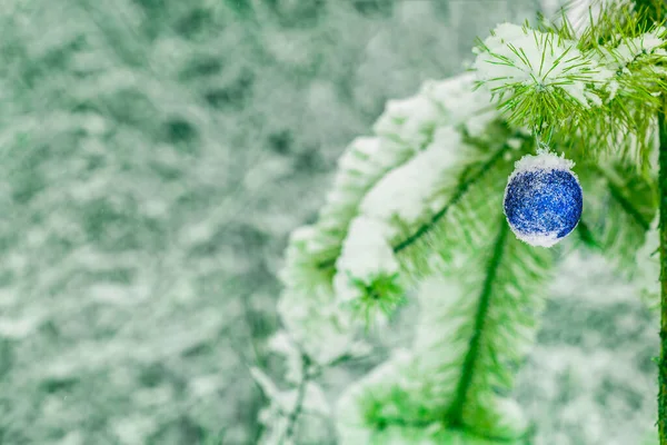 Fundo Natal Bola Natal Azul Uma Árvore Natal Fundo Natureza — Fotografia de Stock