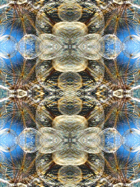 Abstraktní Nenápadný Vzorec Bezešvé Pozadí Modré Pastelové Barvy Vzor Pampeliškových — Stock fotografie