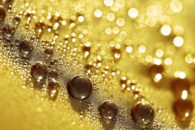 Düz yüzeydeki makro su parçacıkları. Bokeh ışıkları, yağmurdan sonra Bokeh ile bulanık kara zemin. Sarı tonlarda soyut bir arkaplan. Parlak sarı arkaplan.