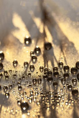 Kabarcık Yüzeyi. Soyut Arkaplan Sarı Aksanı. Su Damlaları Parıltısı. Soyut su bokeh arka plan, ışık ve gölge.