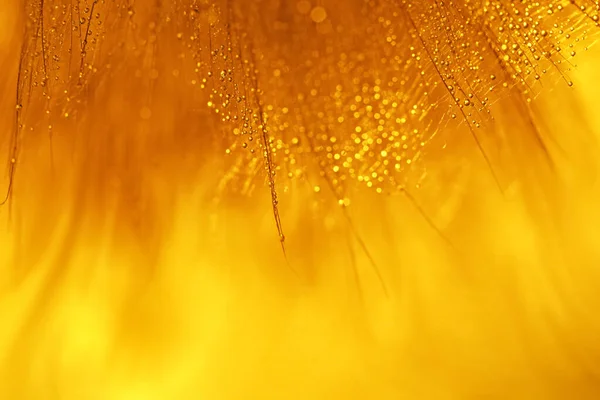 Θολή Πορτοκαλί Και Κίτρινο Φόντο Αφηρημένο Φόντο Γιορταστικό Φόντο Defocused — Φωτογραφία Αρχείου