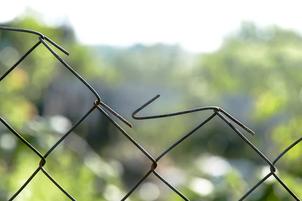 背景がぼやけている鋼線メッシュフェンス、テキストのためのフリーエリア. — ストック写真