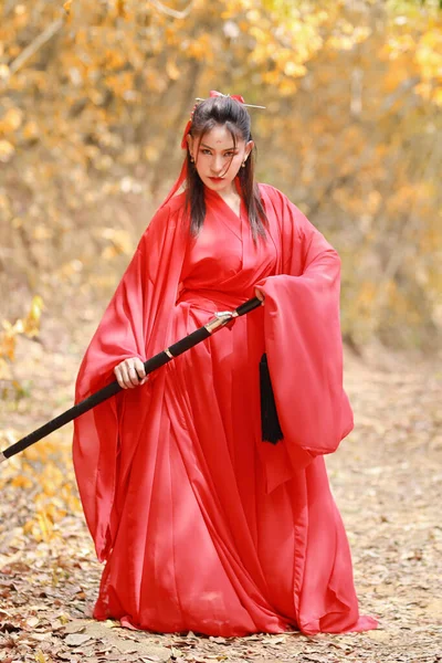 Jonge Mooie Aziatische Vrouw Jurk Traditionele Chinese Ouderwetse Krijger Stijl — Stockfoto