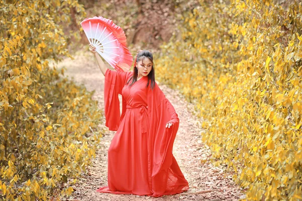 아름다운 여성이 전통적 중국의 워리어 스타일의 있습니다 드레스를 시선을 돌리는 — 스톡 사진
