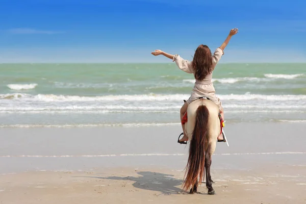 Вид Сзади Молодого Азиатского Красавца Лошади Стоящего Песчаном Пляже Коричневом — стоковое фото