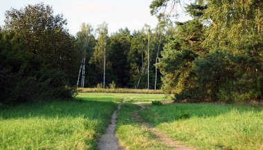 Muhteşem orman manzarası, ormana giden küçük bir yol. Ekolojik turizm, açık hava eğlencesi. Ekoloji, çevre bakımı.