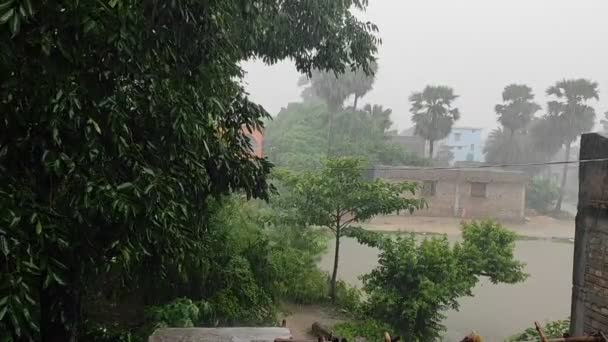 Videobeelden Van Zware Regenval Een Dorp India Tijdens Yaas Cycloon — Stockvideo