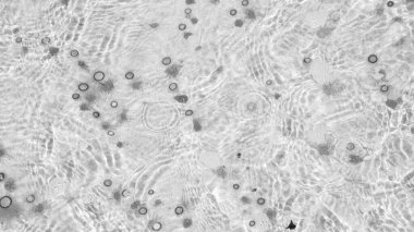 Küçük denizanası denizde yüzüyor, Balck ve White