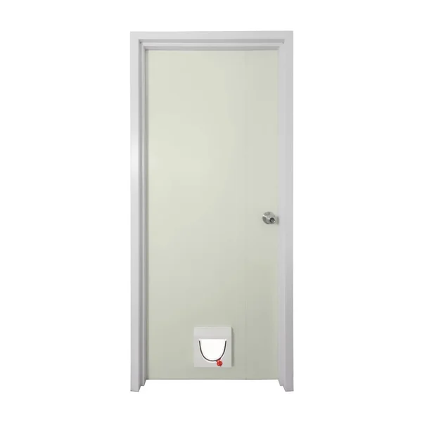 Porta Con Moderna Porta Del Gatto Isolare Sfondo Bianco — Foto Stock