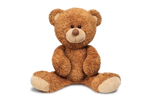 Schattige Teddybeer Geïsoleerd Witte Achtergrond — Stockfoto