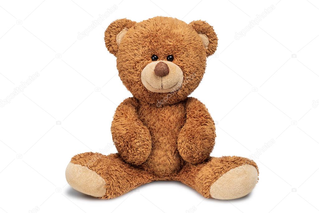 Cute teddy bear isolated on white background