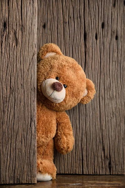 Teddyberen — Stockfoto