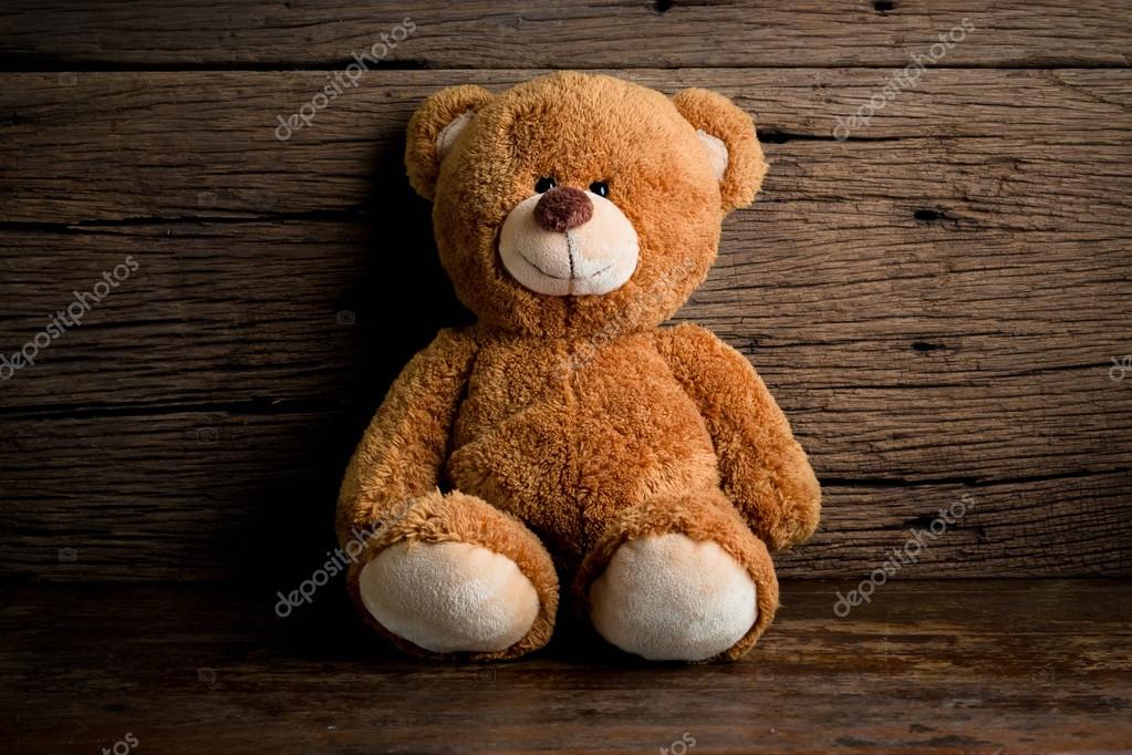 ositos tiernos de peluche