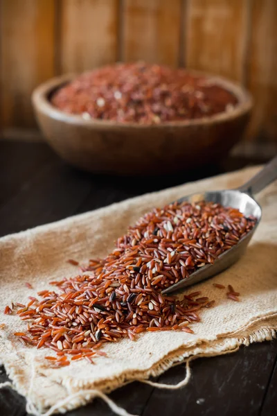 Brown rice — Stock Photo, Image