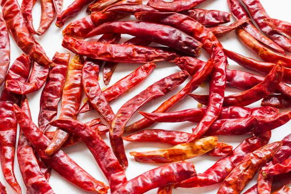 Chilli papričky — Stock fotografie