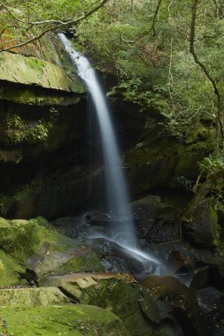 Thamyai şelale phu Kradueng