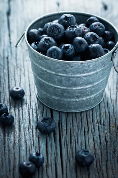 Blueberry in Small tank — Stock Photo, Image