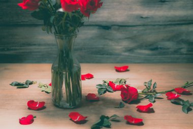 Rose Sevgililer günü