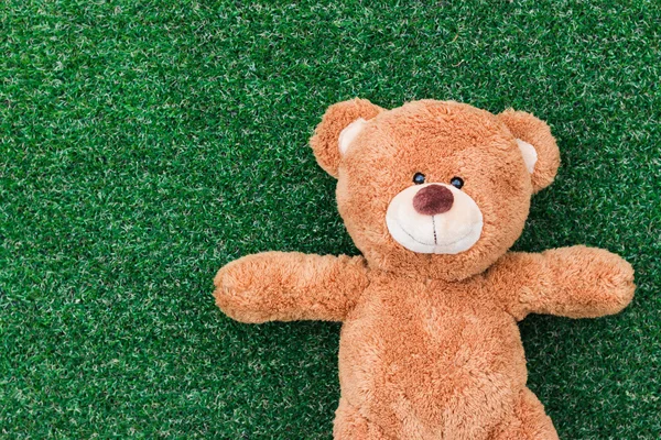 Lindo oso de peluche — Foto de Stock