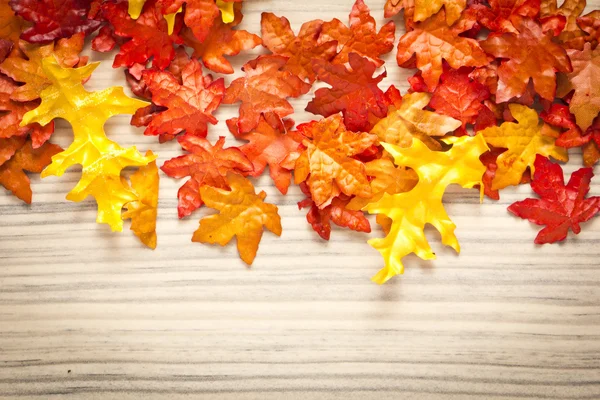 Foliage, autumn leaves — Stock Photo, Image