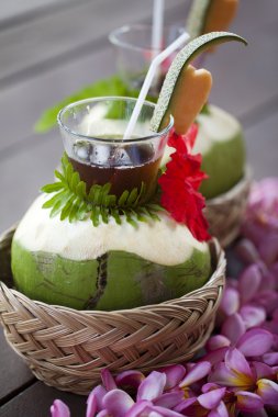 taze hindistan cevizi içecek