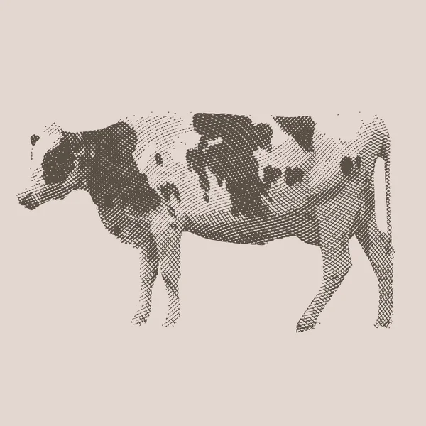 Vaca. Animales de granja . — Vector de stock