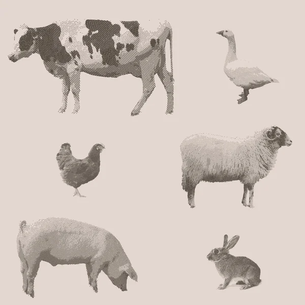 Animales de granja. Ilustración grabada vintage — Vector de stock