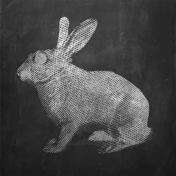 Kaninchen. Nutztier. — Stockvektor