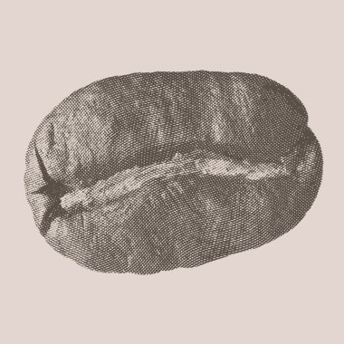 Kahve vintage gravür tarzı