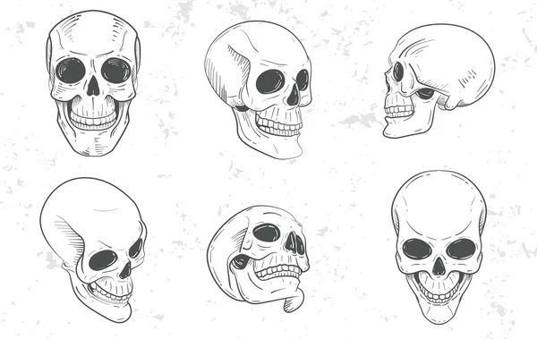 Conjunto de cabezas de cráneo — Archivo Imágenes Vectoriales