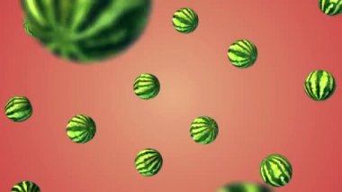 Karpuz beyaz degrade arka plan üzerinde uçan.