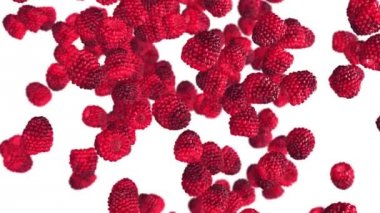 Beyaz zemin üzerine düşen ahududu.