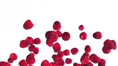 Beyaz zemin üzerine düşen ahududu.